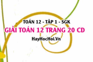 Giải Toán 12 trang 20 tập 1 Cánh Diều